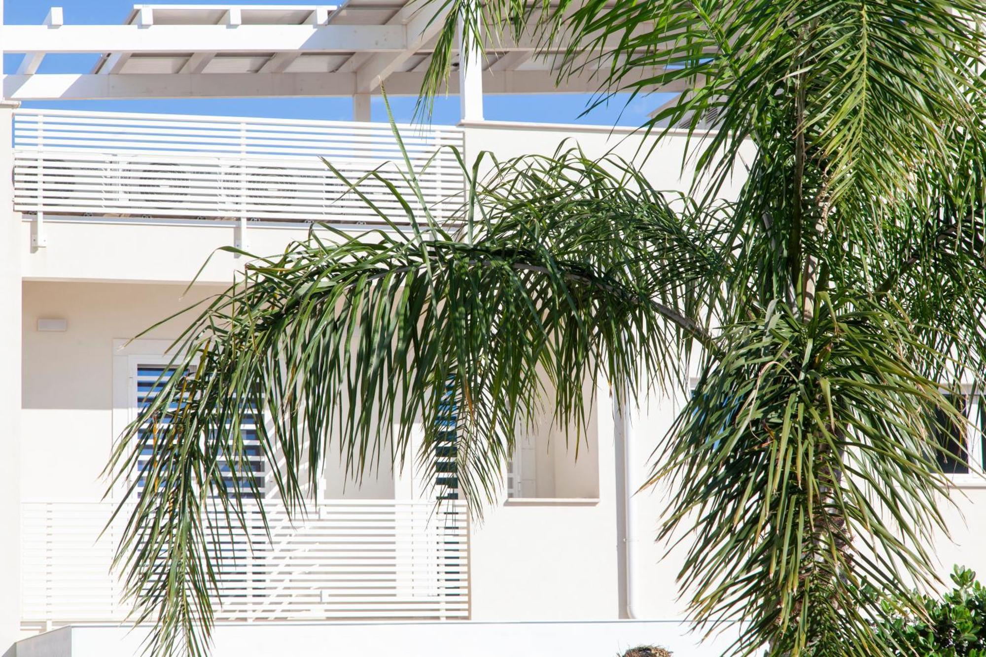 Bed and Breakfast Dimora Nesea Cozze Esterno foto